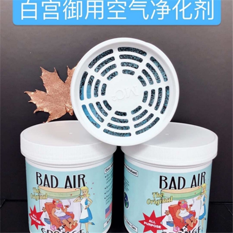 USA美国BadAir Sponge空气净化剂