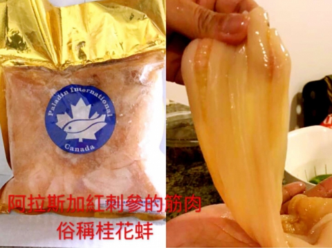 桂花蚌 阿拉斯加刺參王的筋肉 2磅装 名厂aaa级 桂花蚌 阿拉斯加刺參王的筋肉 2磅装 名厂aaa级