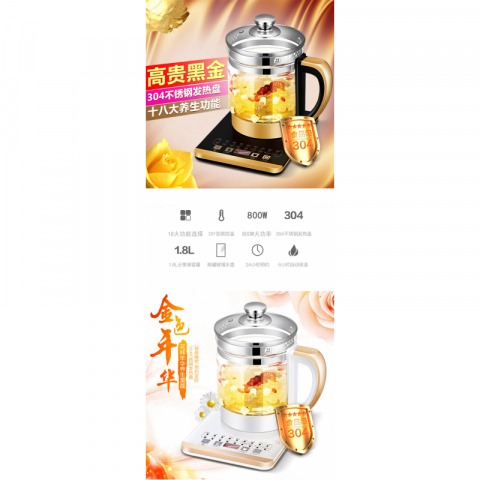 110V养生壶煮花茶器