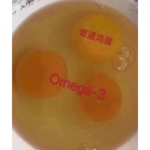 Free run Omega-3红皮鸡蛋L号 2盒一组