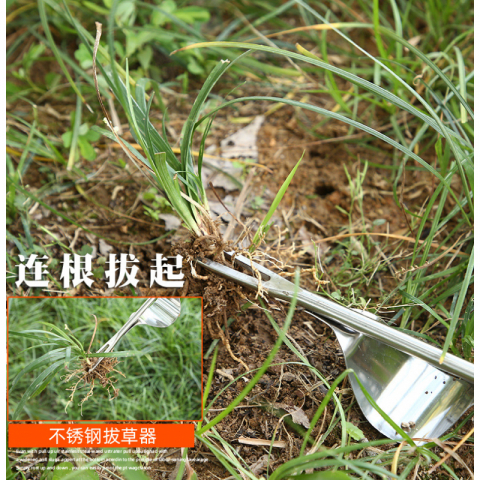 不锈钢拔草器起根器除草工具