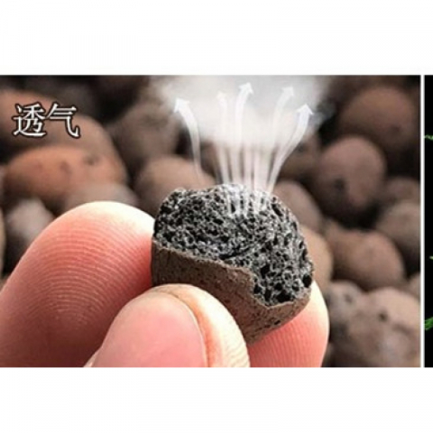 5升园艺种植轻质陶粒花用小碳球