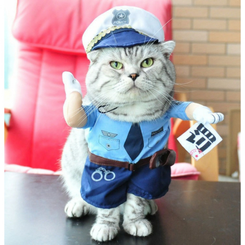 清仓甩卖 不退不换 搞怪猫狗交警服