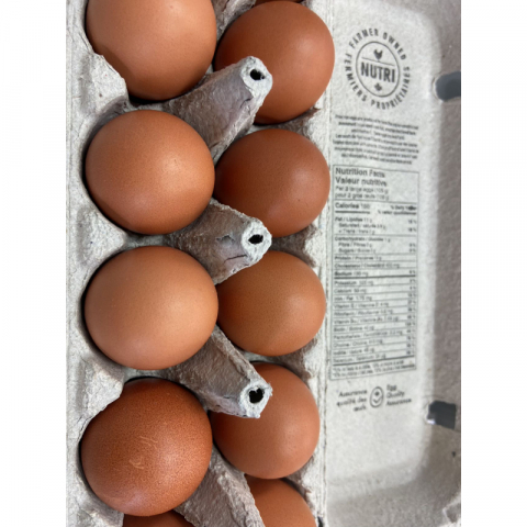 鸡蛋中的霸王花  FREE RANGE   HENS 全自然散养鸡下的鸡蛋