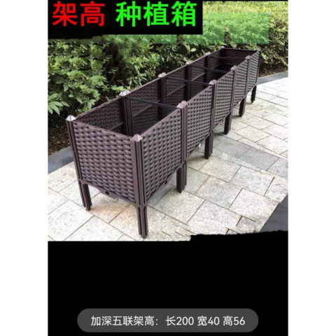 五联
